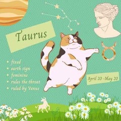 Clowdr Press Feline Zodiac